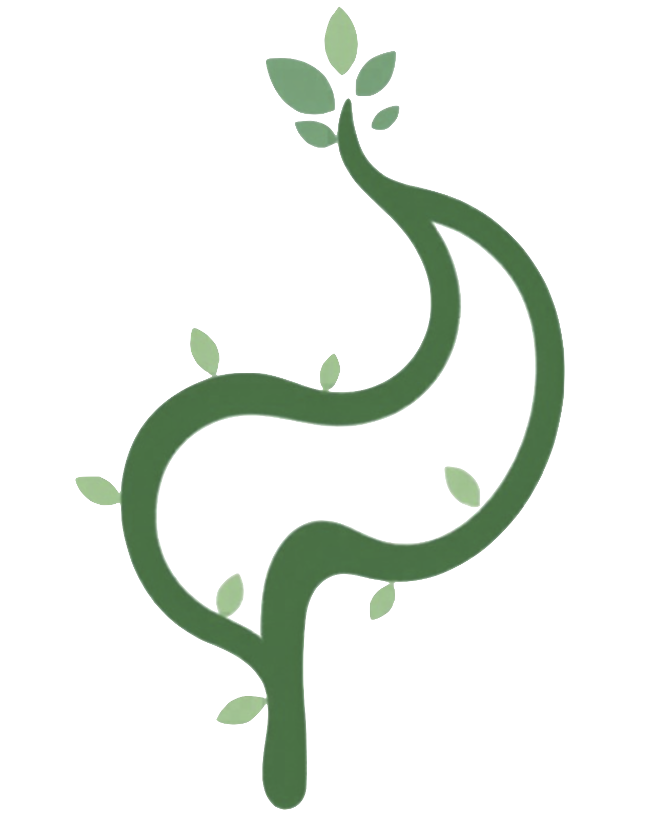 Digessalud